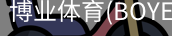博业体育(BOYE